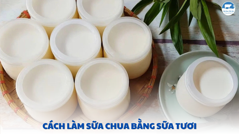 cách làm sữa chua bằng sữa tươi